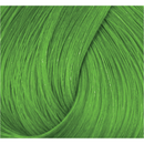 Directions Haartönung Spring Green