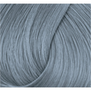 Directions Haartönung Silver