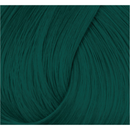 Directions Haartönung Alpine Green