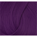 Directions Haartönung Plum