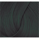 Directions Haartönung Ebony