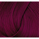 Directions Haartönung Dark Tulip