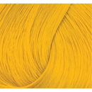 Directions Haartönung Sunflower