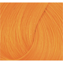 Directions Haartönung Apricot