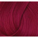 Directions Haartönung Tulip