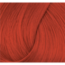 Directions Haartönung Tangarine