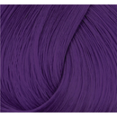Directions Haartönung Violet