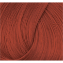 Directions Haartönung Flame