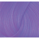 Directions Haartönung Wisteria