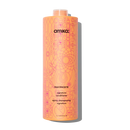 Amika Normcore Signature Conditioner 1000ml