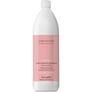 FarmaVita Amethyste Chroma Shampoo