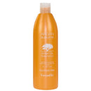 FarmaVita Argan Sublime Shampoo